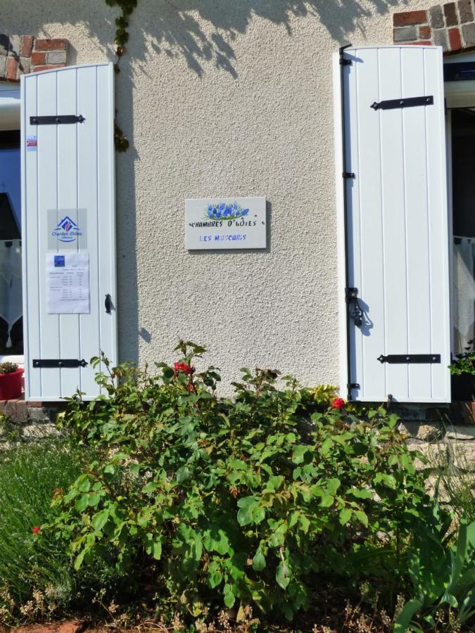 chambres d'hôtes les Muscaris Feins-en-Gatinais Exterior foto