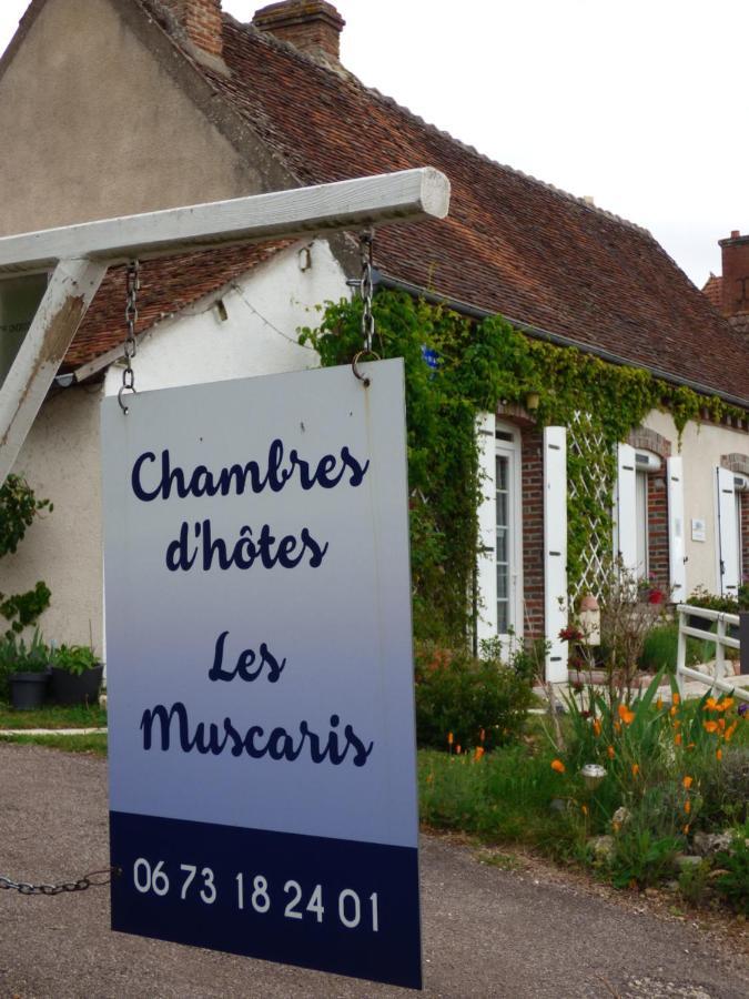 chambres d'hôtes les Muscaris Feins-en-Gatinais Exterior foto