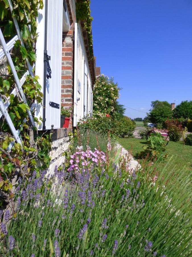 chambres d'hôtes les Muscaris Feins-en-Gatinais Exterior foto